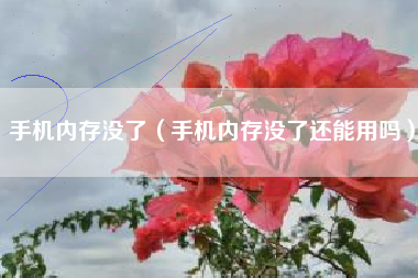 手机内存没了（手机内存没了还能用吗）
