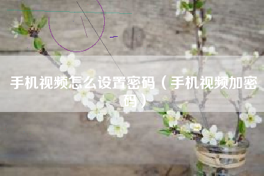 手机视频怎么设置密码（手机视频加密码）