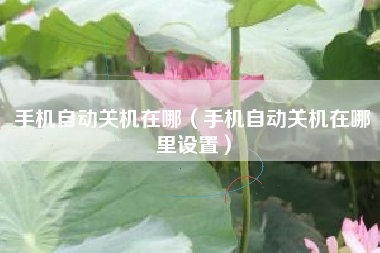 手机自动关机在哪（手机自动关机在哪里设置）