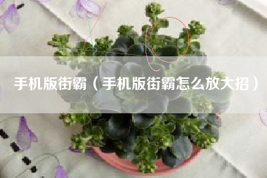 手机版街霸（手机版街霸怎么放大招）