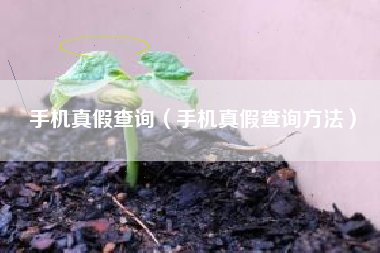 手机真假查询（手机真假查询方法）