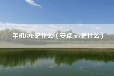 手机GMS是什么（安卓gms是什么）