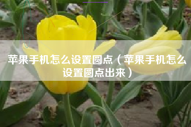 苹果手机怎么设置圆点（苹果手机怎么设置圆点出来）