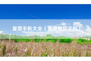 夏普手机大全（夏普新款手机）