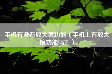 手机有没有放大镜功能（手机上有放大镜功能吗？）