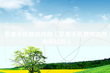 苹果手机增加内存（苹果手机增加内存有风险吗）