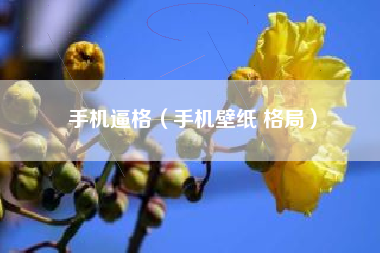 手机逼格（手机壁纸 格局）