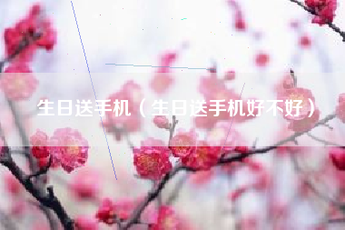 生日送手机（生日送手机好不好）