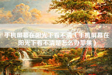 手机屏幕在阳光下看不清（手机屏幕在阳光下看不清楚怎么办苹果）