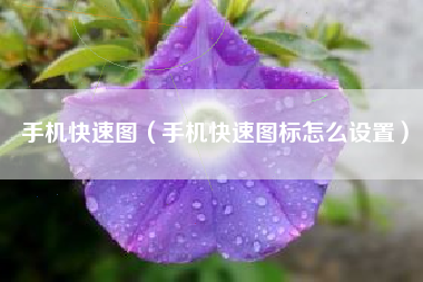 手机快速图（手机快速图标怎么设置）