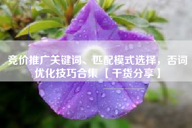 竞价推广关键词、匹配模式选择，否词优化技巧合集 【干货分享】