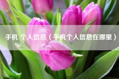 手机 个人信息（手机个人信息在哪里）