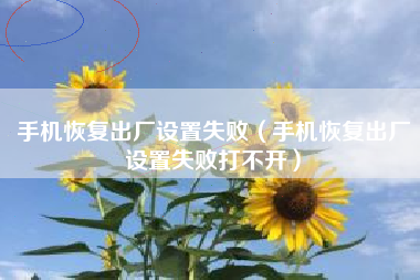 手机恢复出厂设置失败（手机恢复出厂设置失败打不开）