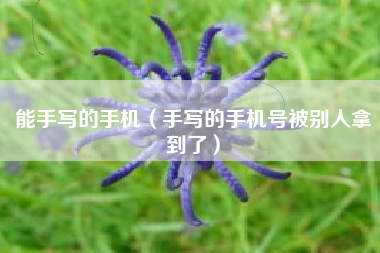 能手写的手机（手写的手机号被别人拿到了）