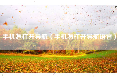 手机怎样开导航（手机怎样开导航语音）