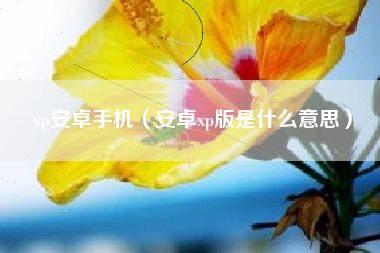 xp安卓手机（安卓xp版是什么意思）