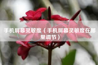 手机屏幕灵敏度（手机屏幕灵敏度在哪里调节）