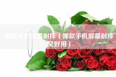 哪款手机屏幕耐摔（哪款手机屏幕耐摔又好用）