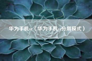 华为手机vr（华为手机vr分屏模式）
