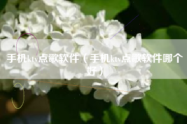 手机ktv点歌软件（手机ktv点歌软件哪个好）