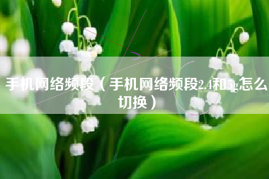 手机网络频段（手机网络频段2.4和5g怎么切换）