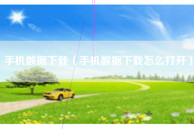 手机数据下载（手机数据下载怎么打开）