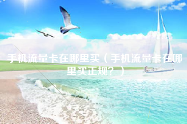 手机流量卡在哪里买（手机流量卡在哪里买正规？）