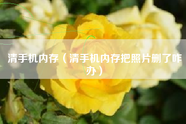 清手机内存（清手机内存把照片删了咋办）