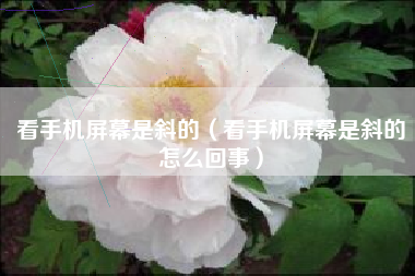 看手机屏幕是斜的（看手机屏幕是斜的怎么回事）
