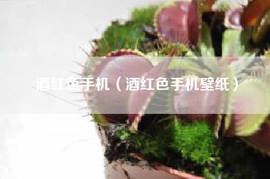酒红色手机（酒红色手机壁纸）