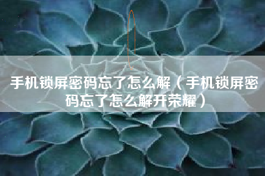 手机锁屏密码忘了怎么解（手机锁屏密码忘了怎么解开荣耀）