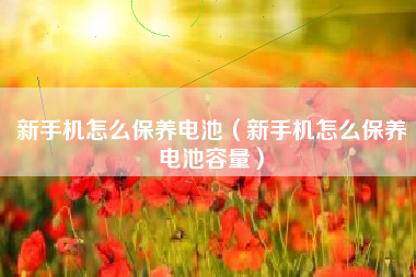 新手机怎么保养电池（新手机怎么保养电池容量）