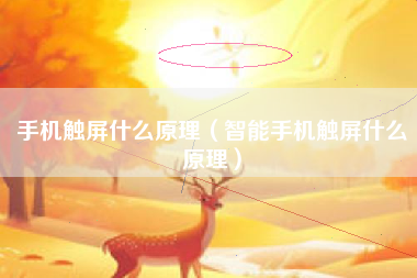 手机触屏什么原理（智能手机触屏什么原理）