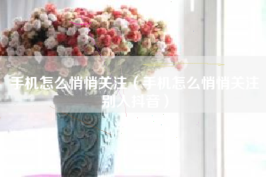 手机怎么悄悄关注（手机怎么悄悄关注别人抖音）
