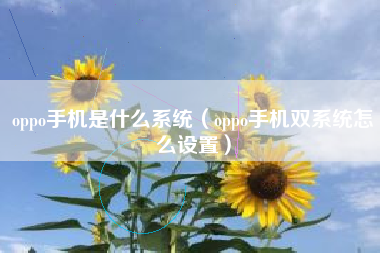 oppo手机是什么系统（oppo手机双系统怎么设置）