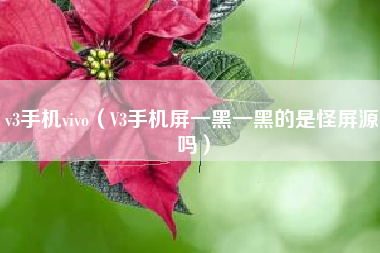 v3手机vivo（V3手机屏一黑一黑的是怪屏源吗）
