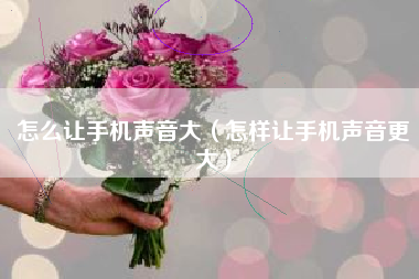 怎么让手机声音大（怎样让手机声音更大）