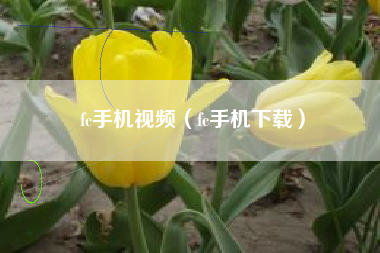 fc手机视频（fc手机下载）