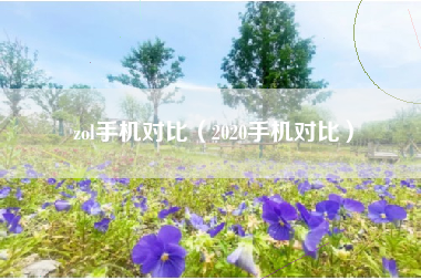 zol手机对比（2020手机对比）
