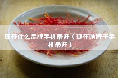 现在什么品牌手机最好（现在啥牌子手机最好）