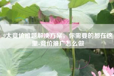 9大竞价难题解决方案，你需要的都在这里-竞价推广怎么做