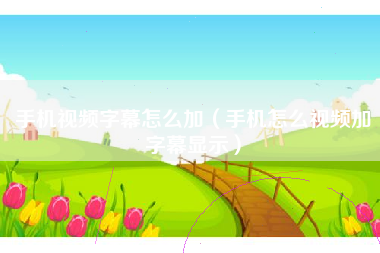手机视频字幕怎么加（手机怎么视频加字幕显示）