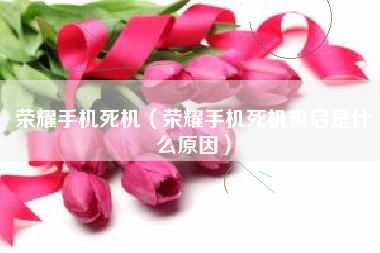 荣耀手机死机（荣耀手机死机重启是什么原因）