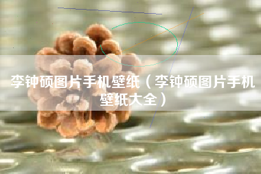 李钟硕图片手机壁纸（李钟硕图片手机壁纸大全）