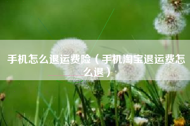 手机怎么退运费险（手机淘宝退运费怎么退）