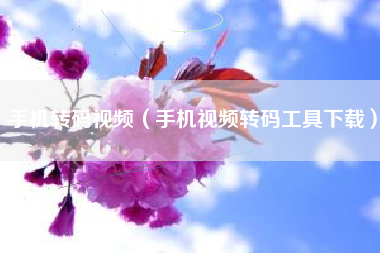 手机转码视频（手机视频转码工具下载）