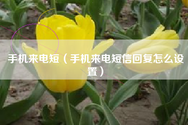 手机来电短（手机来电短信回复怎么设置）