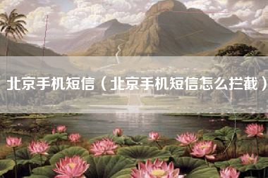 北京手机短信（北京手机短信怎么拦截）