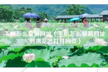 手机怎么复制网址（手机怎么复制网址到浏览器打开网页）