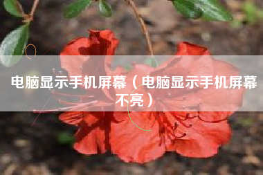 电脑显示手机屏幕（电脑显示手机屏幕不亮）